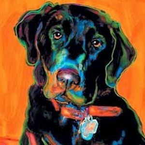 Meet your Posher, Cheryl